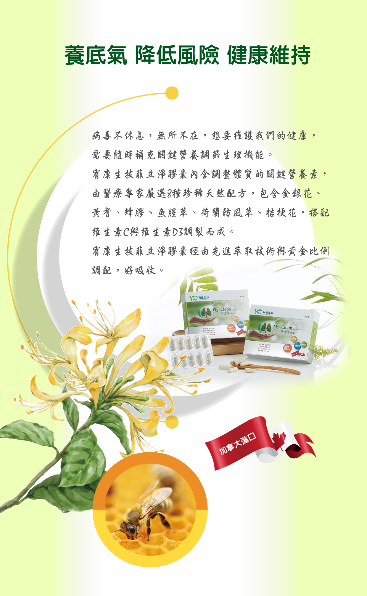 菲立淨膠囊