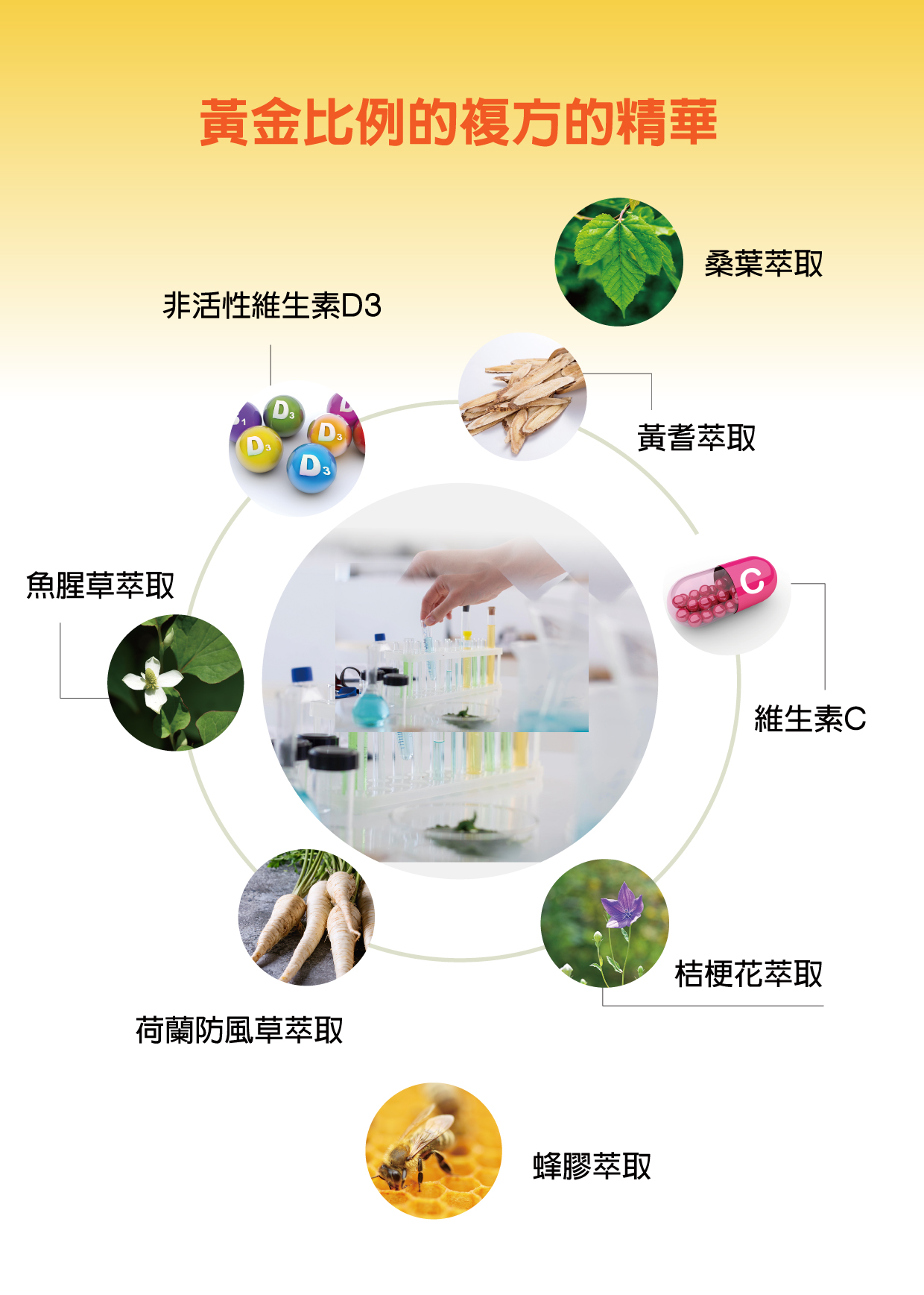菲立淨膠囊