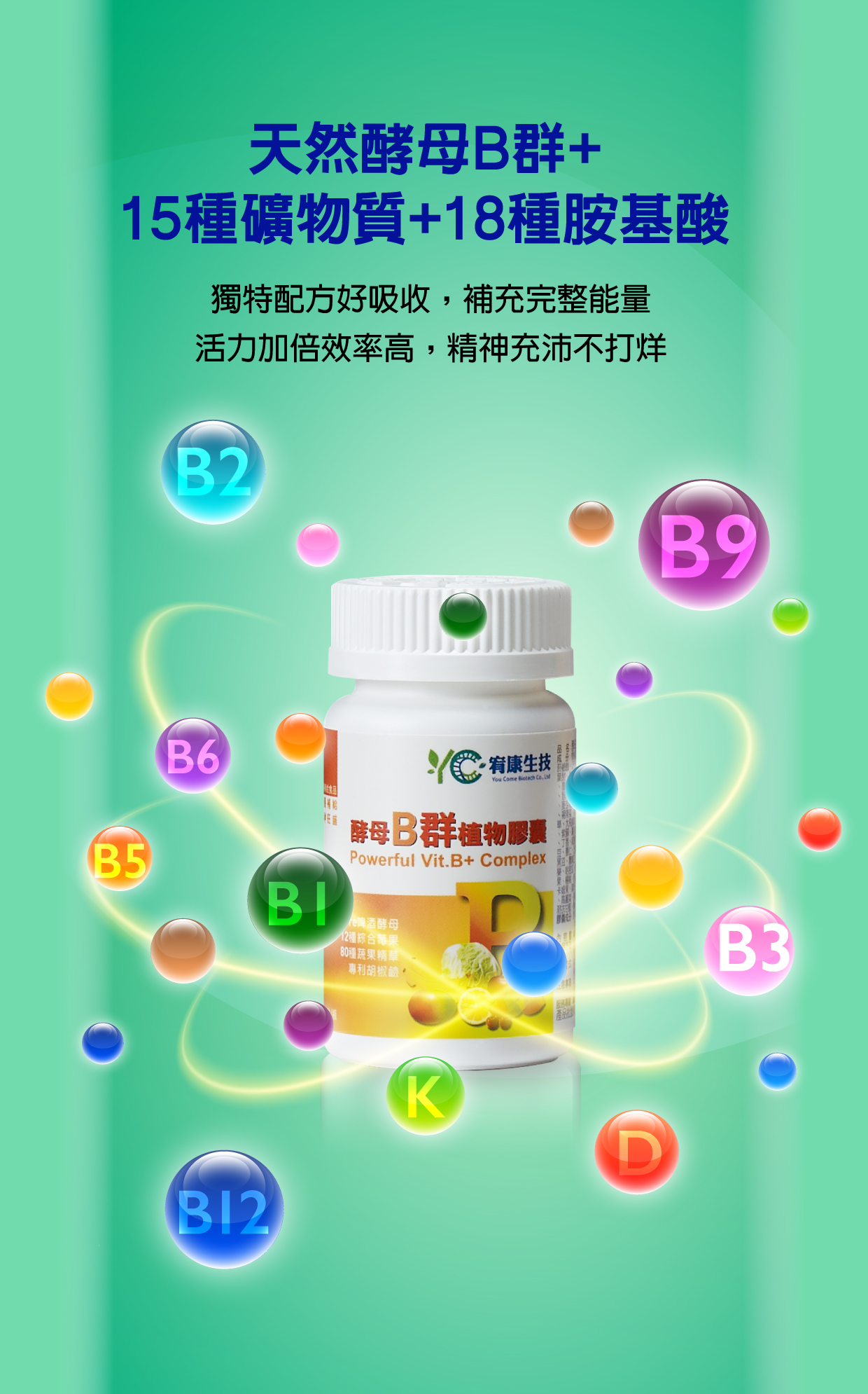 酵母B群